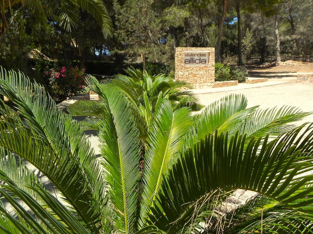 Viviendas Turisticas Vacacionales Allida Playa de Migjorn Esterno foto
